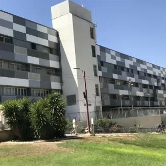 מבנה עירייה ,דימונה