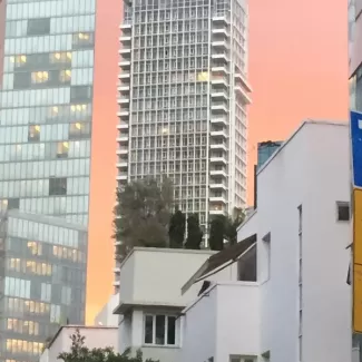 מגדלי מאייר